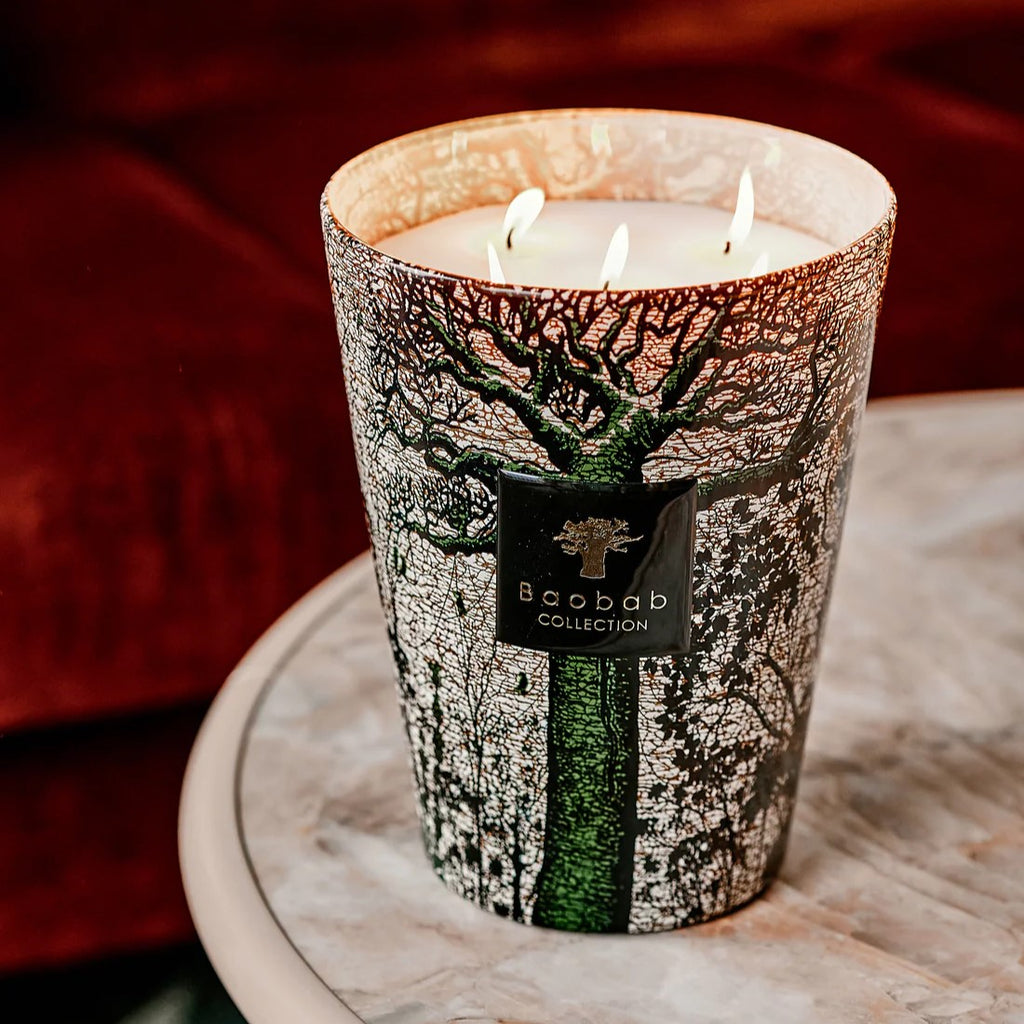 Baobab Sacred Trees Kani Scented Candle Max 16 Opulence of Southern