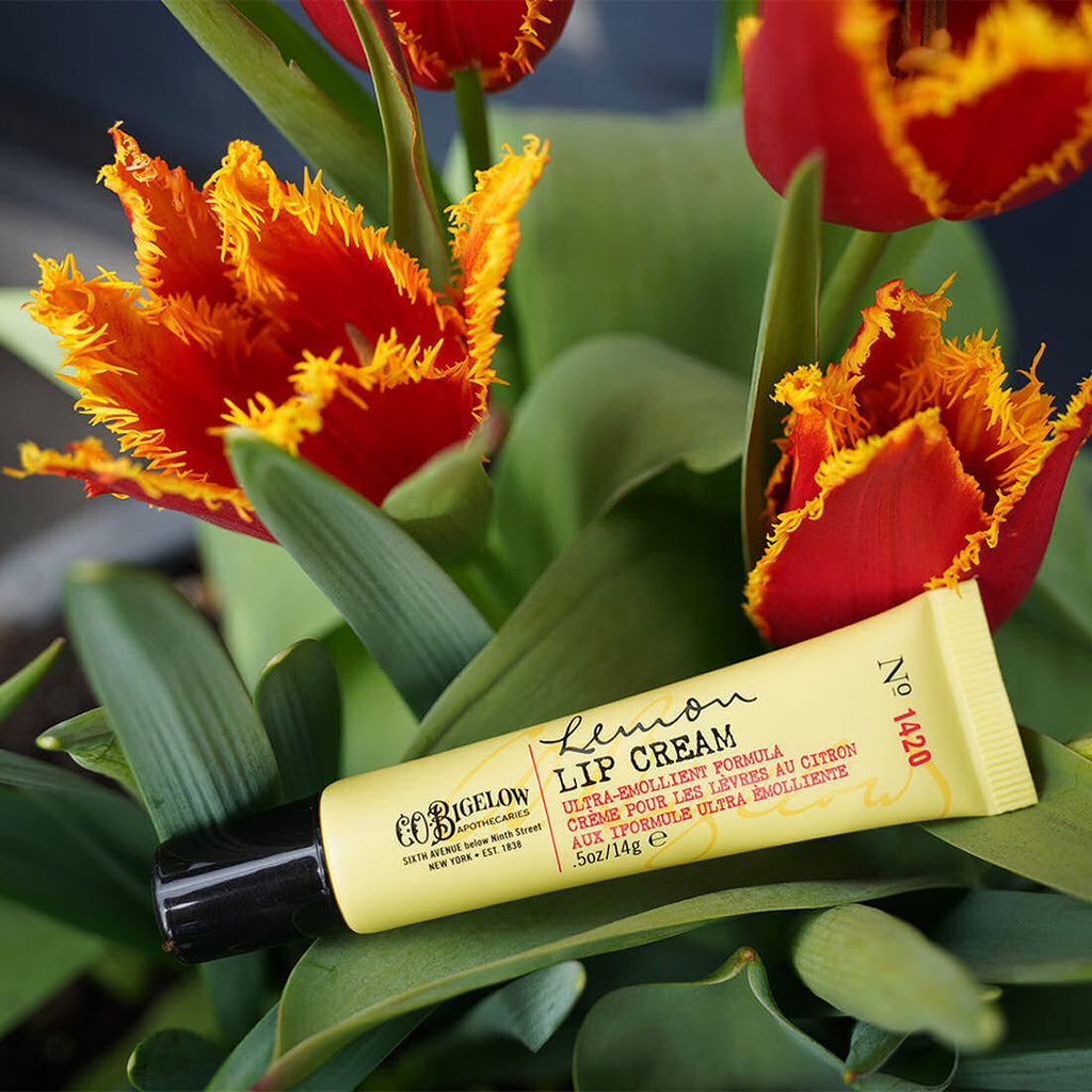c.o. bigelow lip Mentha Shine No. 502 sweet almond oil and wheat germ (and no artificial colorants or fragrance) condition and soothe lips in need of immediate care Mentha Lip Balm Stick No.