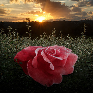 Abyss & Habidecor Passion Rug