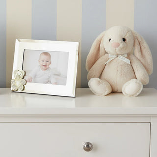 Olivia Riegel Teddy Bear Frame
