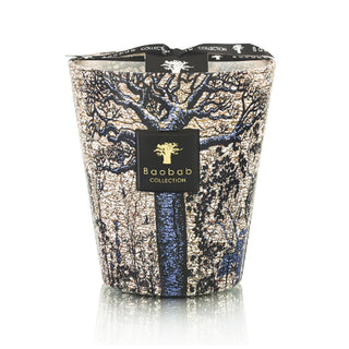 Baobab Sacred Tress Sequela Scented Candle - Max 16