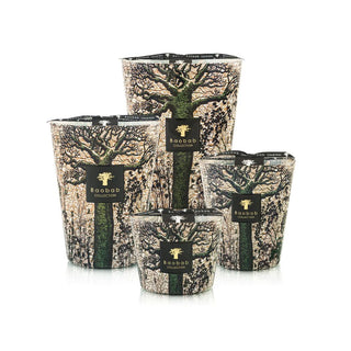 Baobab Sacred Tress Kani Scented Candle - Collection of sizes