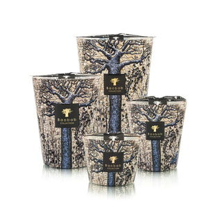 Baobab Sacred Tress Sequela Scented Candle - Collection of Sizes