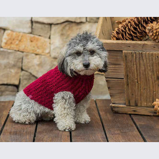 Barefoot Dreams CozyChic Ribbed Pet Sweater - Cranberry