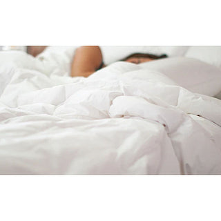 Ogallala® Mariposa Comforters