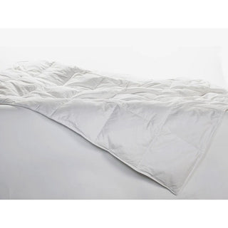 Ogallala® Mariposa Comforters