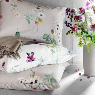Schlossberg of Switzerland Freya Luxury Bed Linens - Blanc & Beige Shams