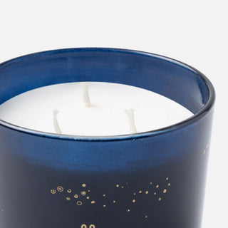 Thucassi Ocean Coral Garden Candle w/Lid